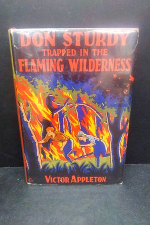 Trapped in the Flaming Wilderness image number 0