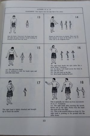 Maori Action Songs image number 1