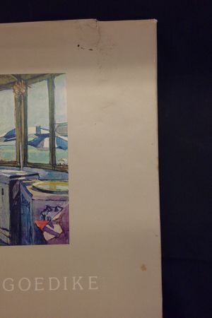 Shirl Goedike image number 2