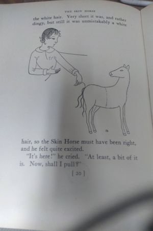 The Skin Horse image number 2