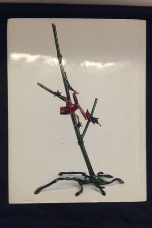 Frogman,the Creativity of Tim Cotterill image number 2