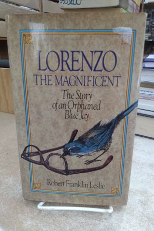 Leslie Lorenzo the Magnificent - the Story of an Orphaned Blue Jay image number 0