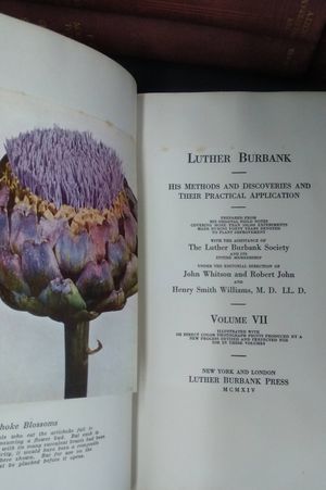 Luther Burbank: His Methods and Discoveries and Their Practical Application image number 2