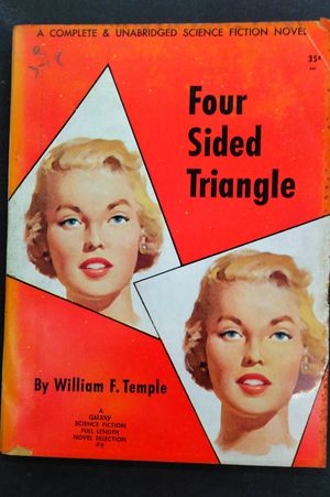 Four Sided Triangle image number 0