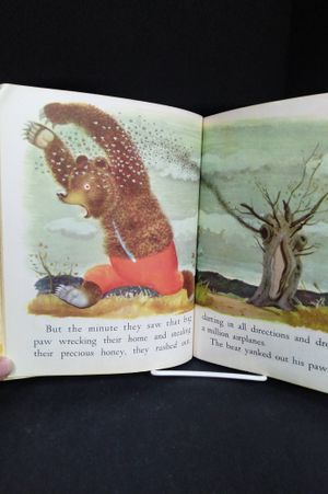 The Big Brown Bear image number 1