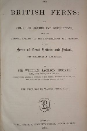The British Ferns image number 1