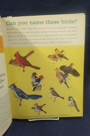 Reader's Digest New Treasury for Young Readers image number 2