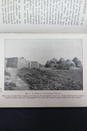 A History of Civilization in Palestine image number 2