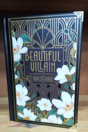 Beautiful Villian image number 0