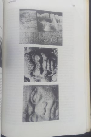 Nile Valley Civilizations image number 2