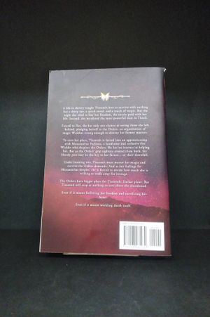 Daughter of No Worlds (The War of Lost Hearts) image number 1