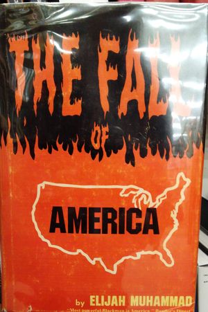 The Fall of America image number 0