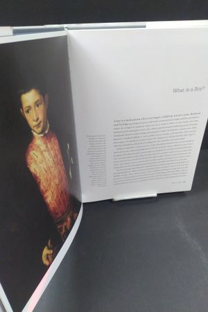 The Beautiful Boy image number 1
