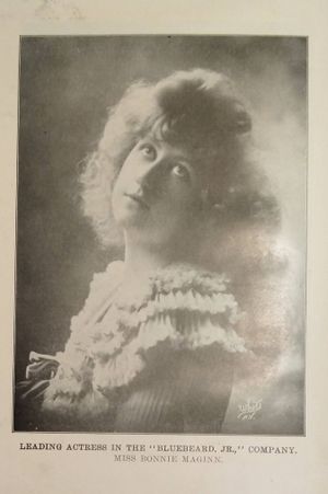 The Great Chicago Theater Disaster image number 2