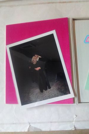 Disko image number 2