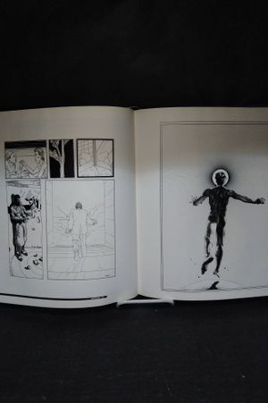 Chaos image number 2