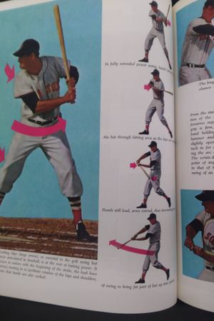 The Science of Hitting image number 1