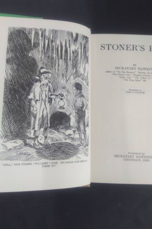 Stoner's Boy image number 1