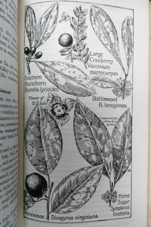 Field Book of American Trees and Shrubs image number 2