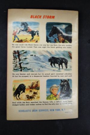 Black Storm image number 1