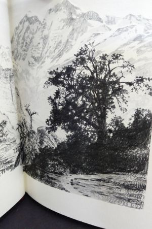 Lost Horizon image number 1