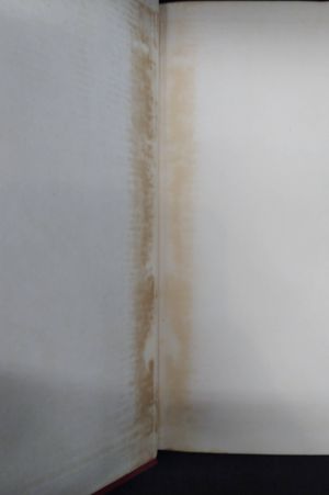 Papal Social Principles image number 2