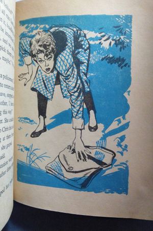 Lucy and the Madcap Mystery image number 1