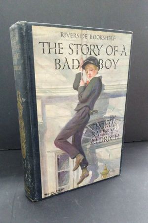 The Story of a Bad Boy image number 0