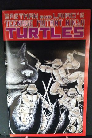 Teenage Mutant Ninja Turtles #1 (5th Printing) image number 0
