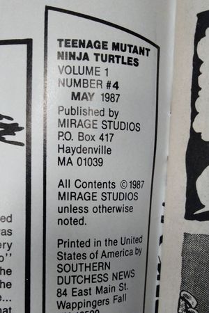 Teenage Mutant Ninja Turtles #4 (2nd Printing) image number 2