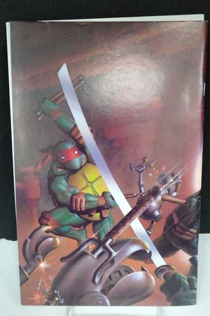 Teenage Mutant Ninja Turtles #2 (3rd Printing) image number 1