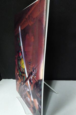 Teenage Mutant Ninja Turtles #2 (3rd Printing) image number 2