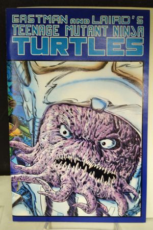 Teenage Mutant Ninja Turtles #7 (2nd Printing) image number 0