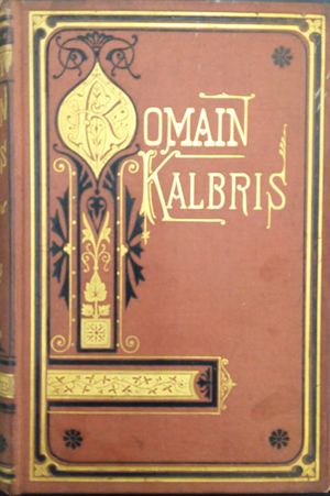 Romain Kalbris image number 0