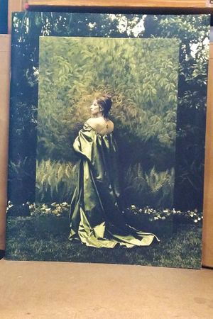 Barbara Streisand Poster Book image number 0