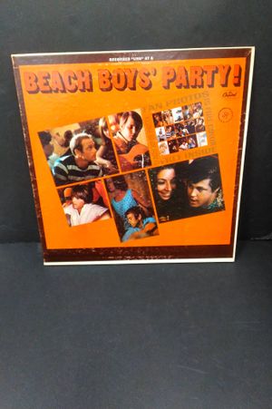 Beach Boy's Party image number 0