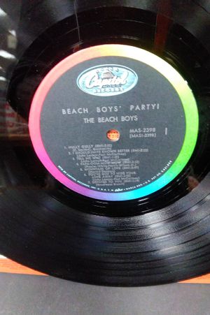 Beach Boy's Party image number 2