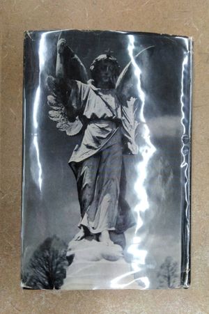 Thomas Wolfe image number 2