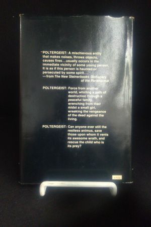 Poltergeist image number 2