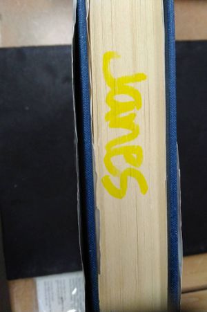 Geronimo's Story of His Life image number 2