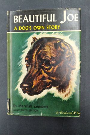 Beautiful Joe: A Dog's Own Story image number 0