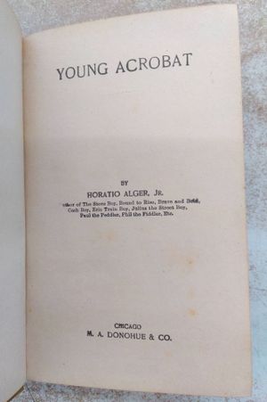 The Young Acrobat image number 2