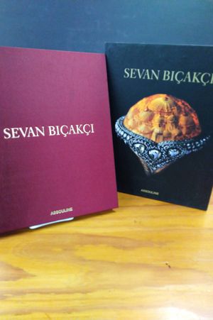 Sevan Bicakci image number 0