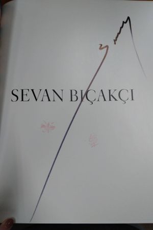 Sevan Bicakci image number 1