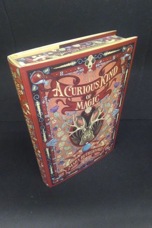 A Curious Kind of Magic image number 0