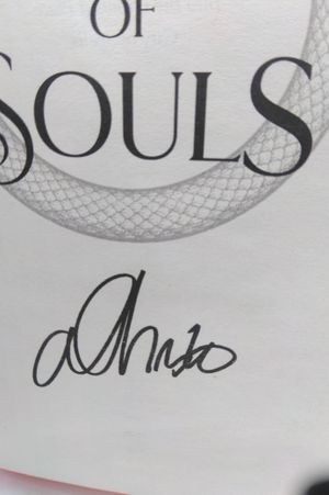 Princess of Souls by Alexandra Christo image number 2