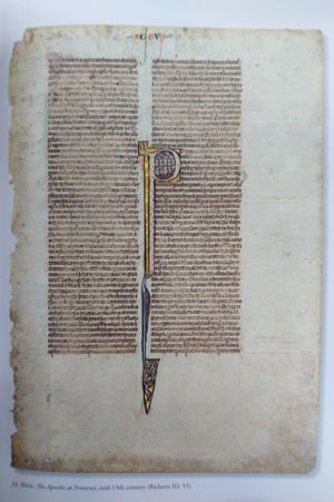 Gilding the Lilly: A Hundred Medieval and Illuminated Manuscripts in the Lilly Library image number 1