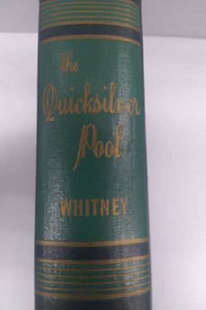 The Quicksilver Pool image number 0