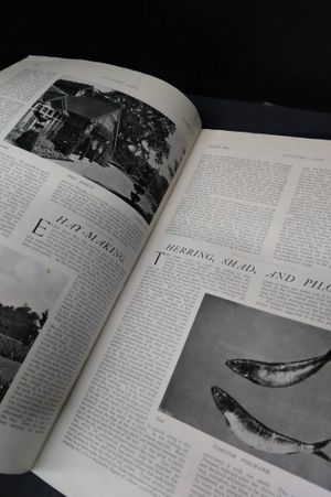 Country Life Magazine image number 1