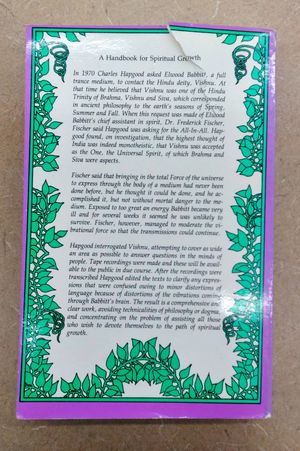 The God Within: A Testament of Vishnu image number 1